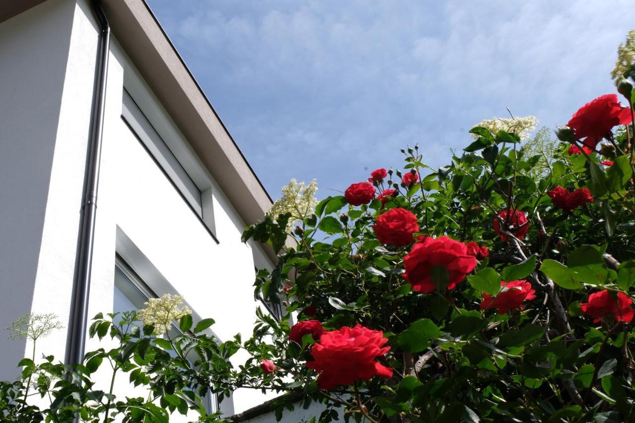 Apartment Le Rose Di Marianne - Sud Vahrn Экстерьер фото